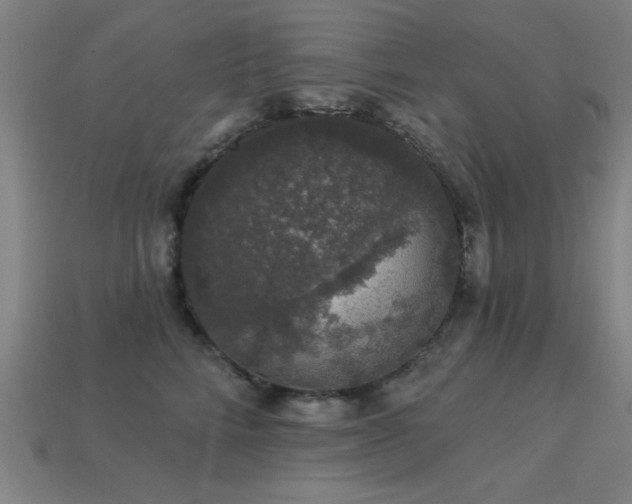 X0000113280712200909141225