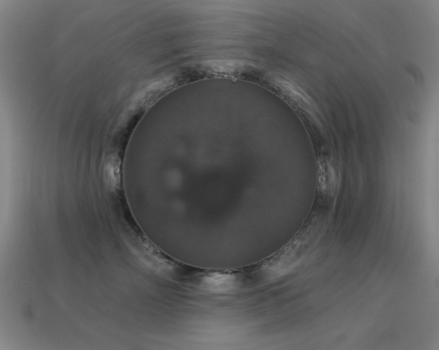 X0000113280718200909141225