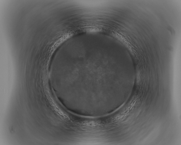 X0000113280721200909141224