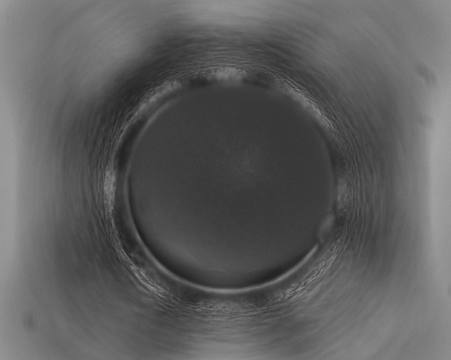 X0000113280722200909141224