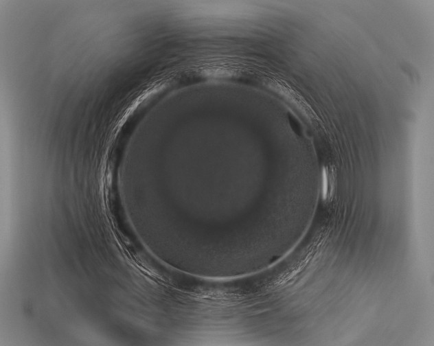 X0000113280723200909141224