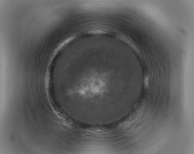 X0000113280724200909141224