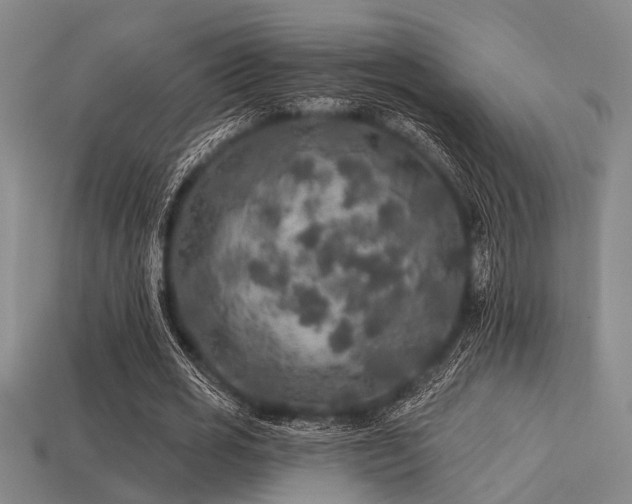 X0000113280725200909141224