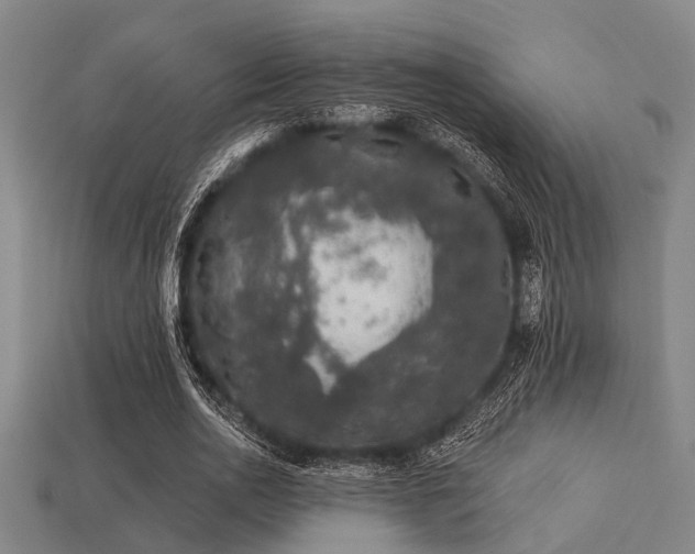 X0000113280726200909141224