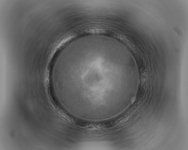 X0000113280727200909141224