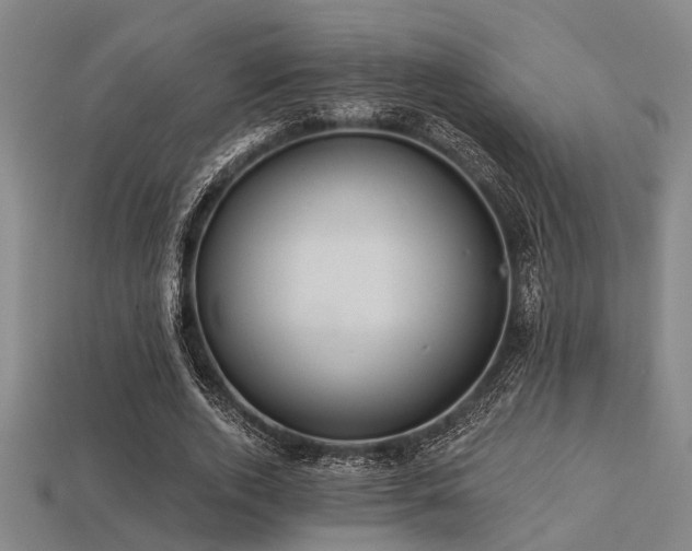 X0000113280728200909141224