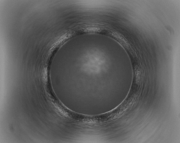 X0000113280729200909141224