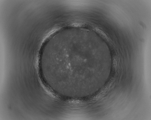 X0000113280730200909141224