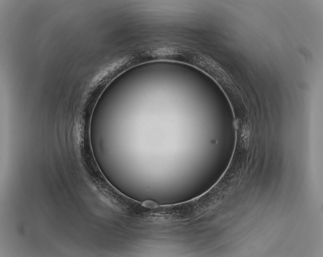 X0000113280732200909141224