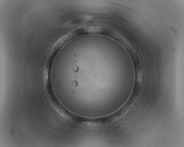 X0000113280733200909141224