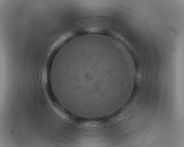 X0000113280734200909141224