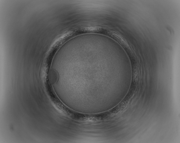 X0000113280736200909141224