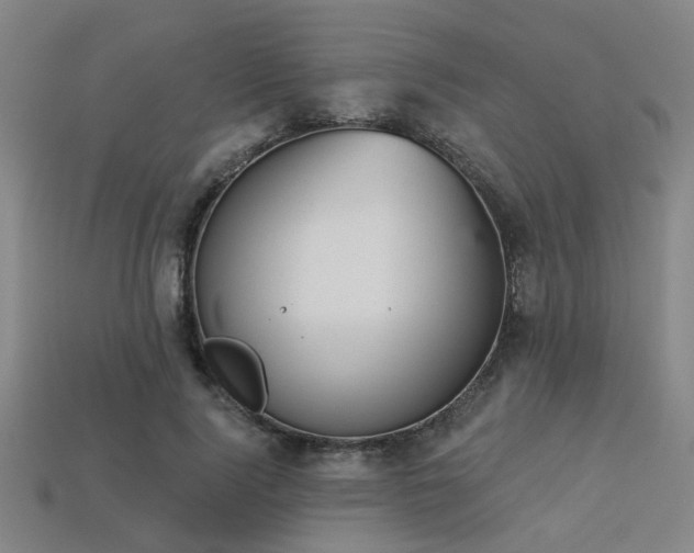 X0000113280740200909141224