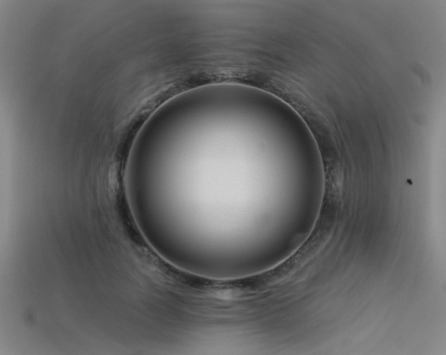 X0000113280746200909141224