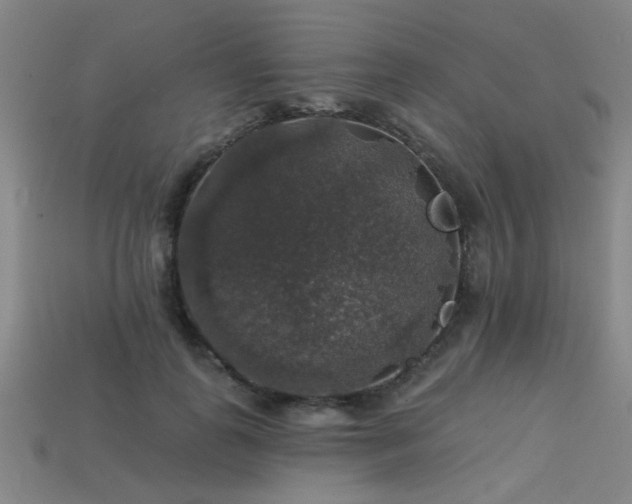 X0000113280747200909141224