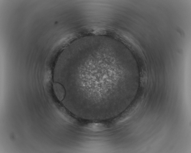 X0000113280748200909141224