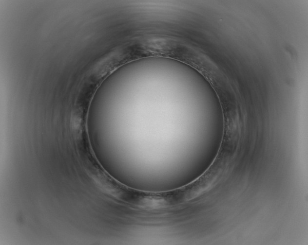 X0000113280749200909141225