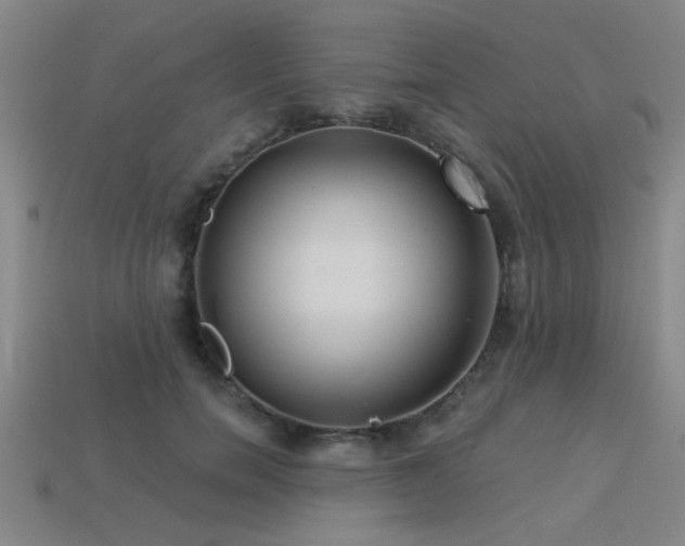 X0000113280750200909141225