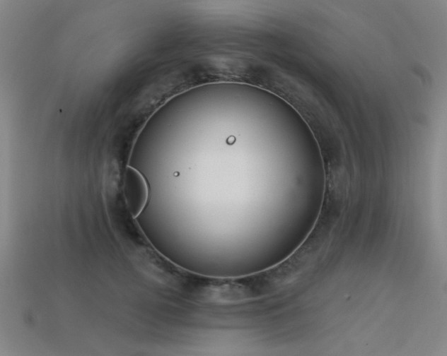 X0000113280752200909141225