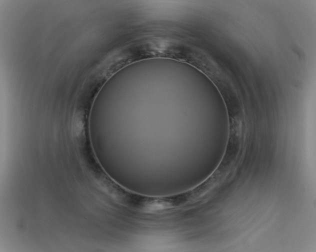 X0000113280754200909141225