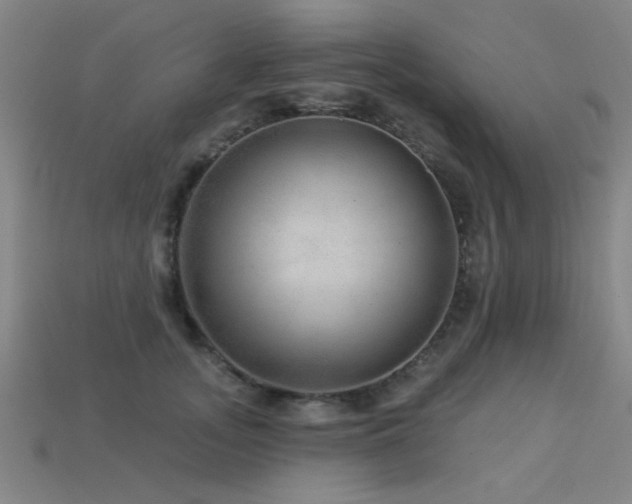 X0000113280755200909141225