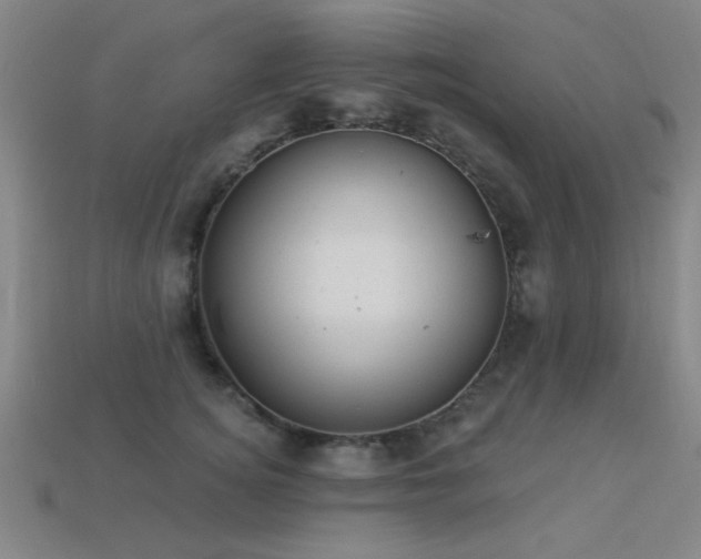 X0000113280756200909141225