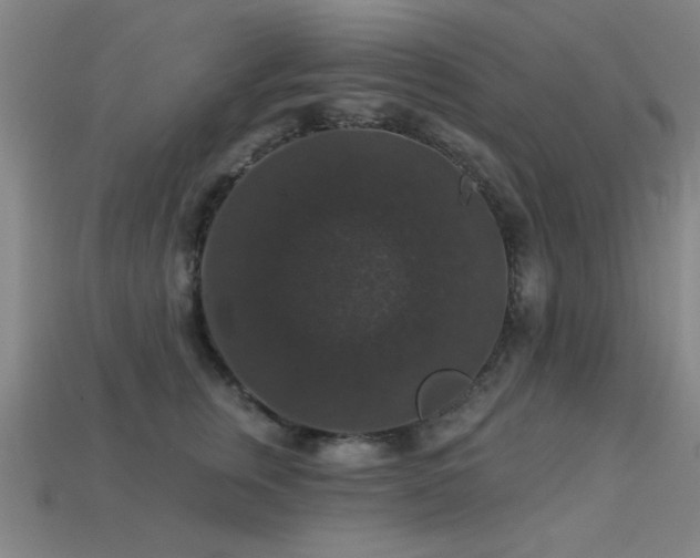 X0000113280759200909141225