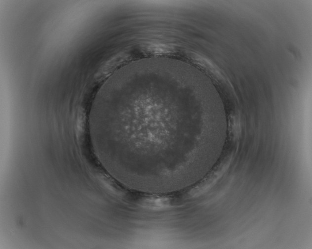 X0000113280760200909141225