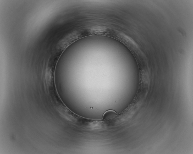 X0000113280761200909141225