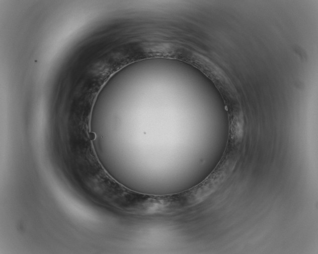 X0000113280764200909141225