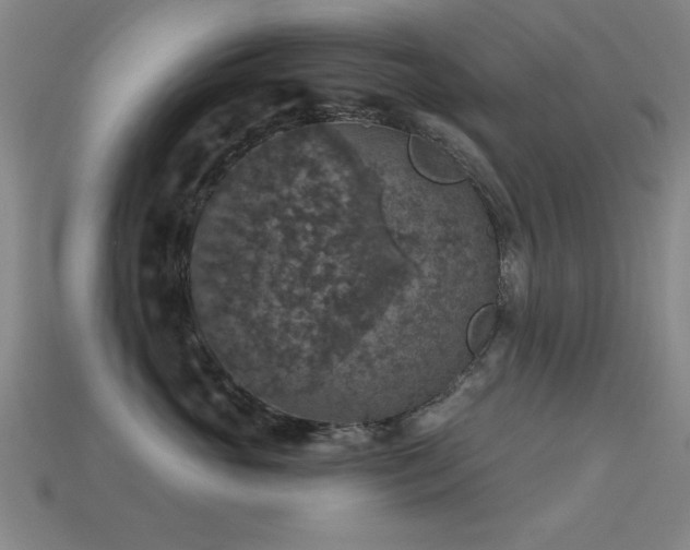 X0000113280765200909141225