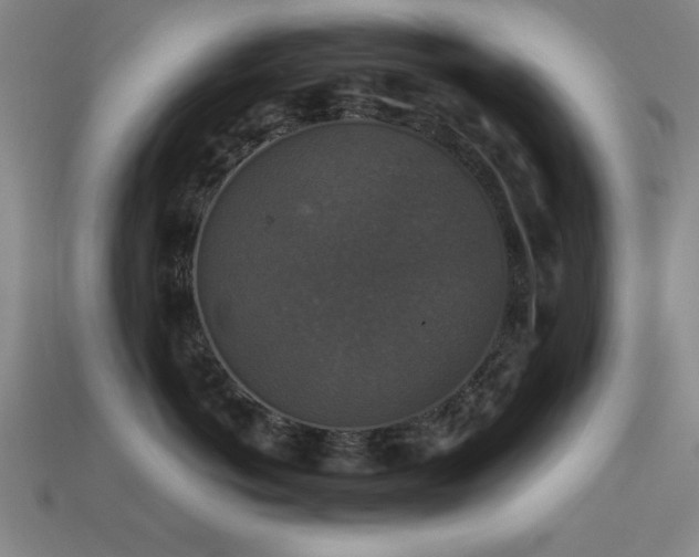 X0000113280766200909141225