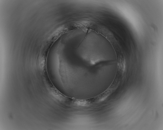 X0000113280767200909141225