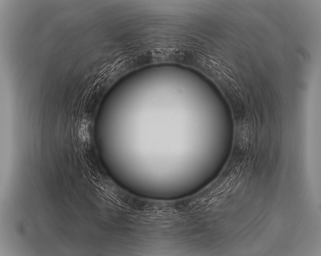 X0000113280770200909141224