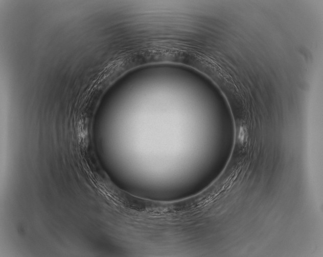 X0000113280771200909141224