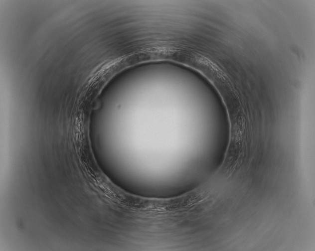 X0000113280773200909141224