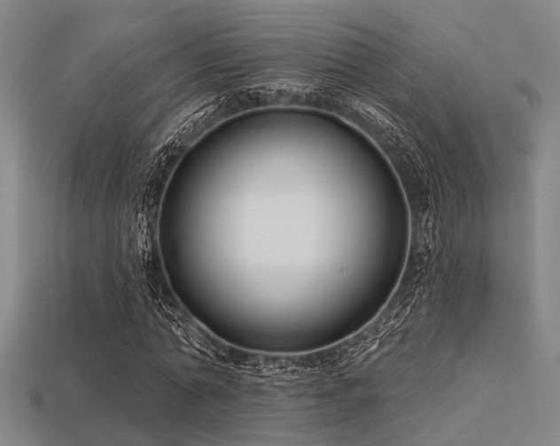 X0000113280774200909141224