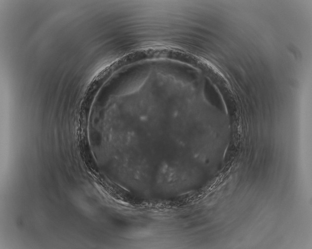 X0000113280775200909141224