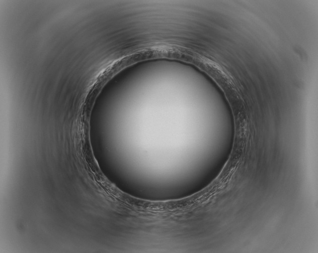 X0000113280776200909141224