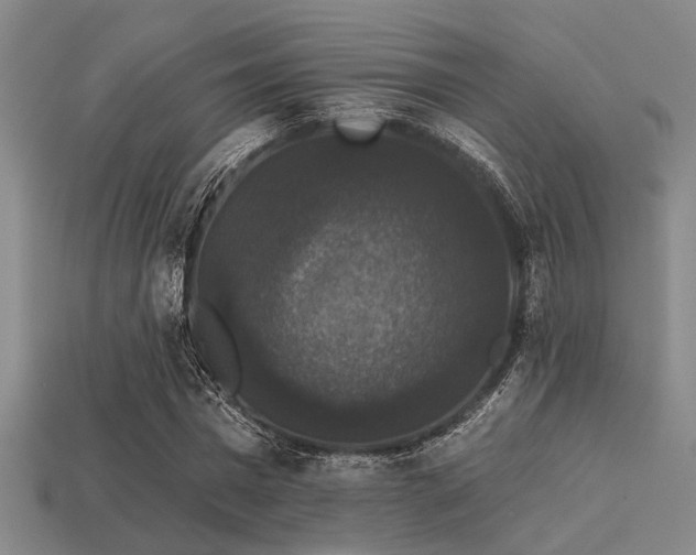 X0000113280777200909141224