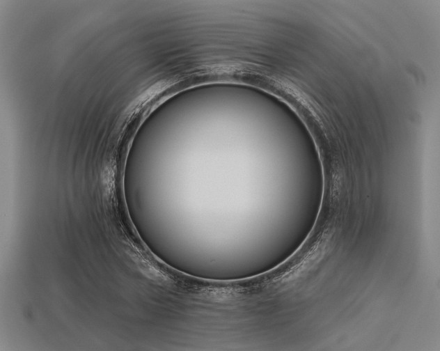 X0000113280778200909141224