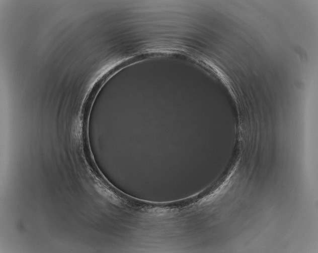 X0000113280779200909141224