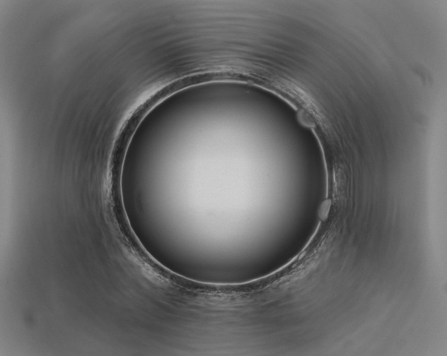 X0000113280780200909141224