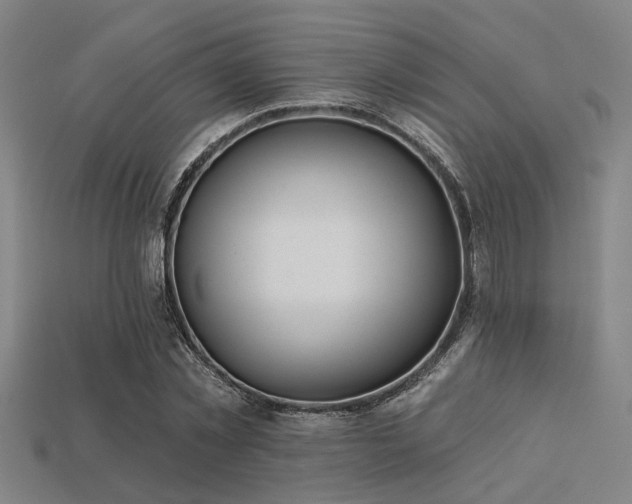 X0000113280781200909141224