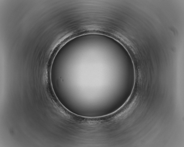 X0000113280782200909141224