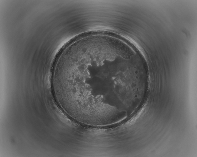 X0000113280783200909141224