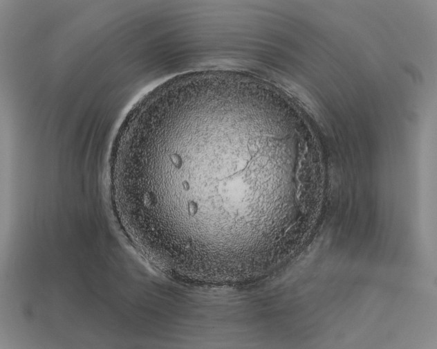 X0000113280784200909141224