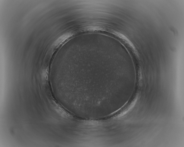 X0000113280785200909141224