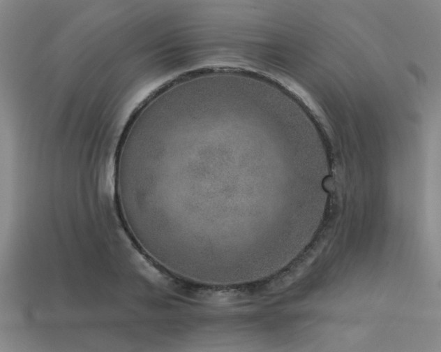 X0000113280791200909141224