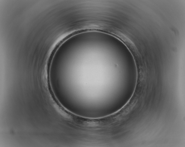 X0000113280792200909141224